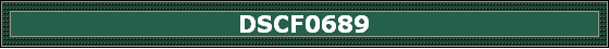 DSCF0689