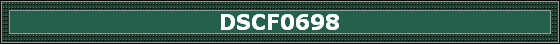DSCF0698