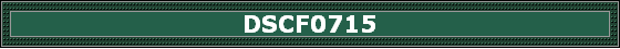 DSCF0715