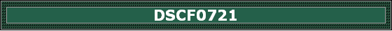 DSCF0721