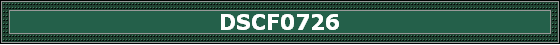DSCF0726