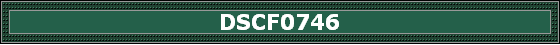 DSCF0746