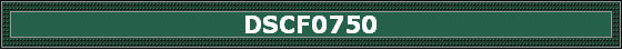 DSCF0750