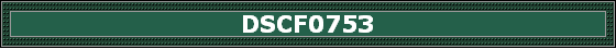 DSCF0753
