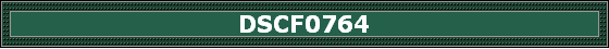 DSCF0764