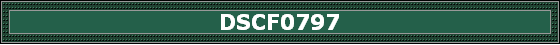DSCF0797