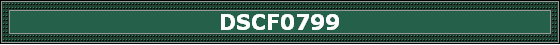 DSCF0799