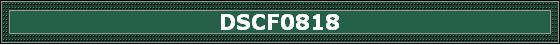 DSCF0818