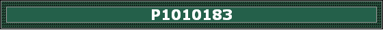 P1010183