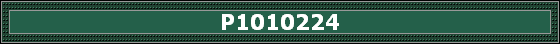 P1010224