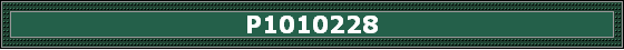 P1010228