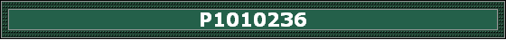 P1010236