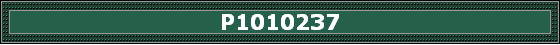 P1010237