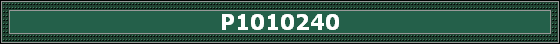 P1010240