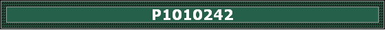 P1010242