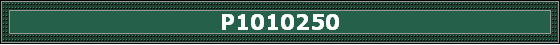 P1010250