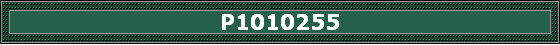P1010255
