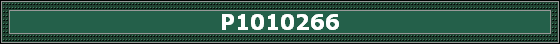 P1010266