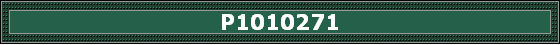 P1010271
