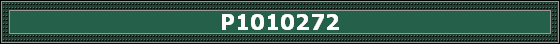 P1010272