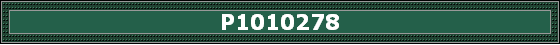 P1010278