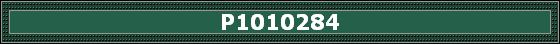 P1010284