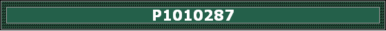P1010287