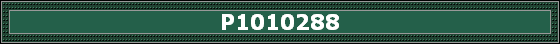 P1010288
