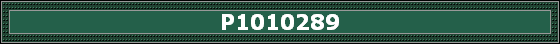 P1010289