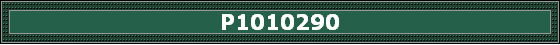 P1010290