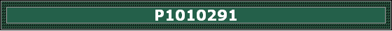 P1010291