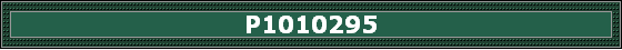 P1010295