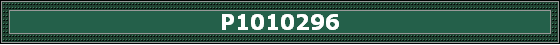 P1010296