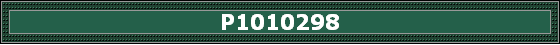 P1010298