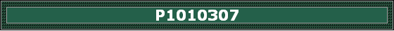 P1010307