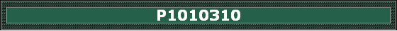 P1010310