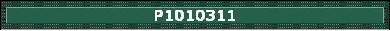P1010311