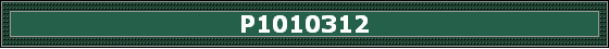 P1010312