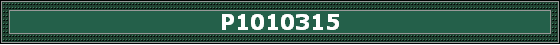 P1010315