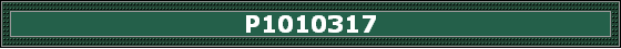 P1010317