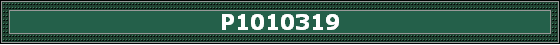 P1010319