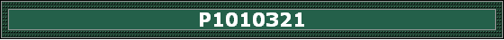 P1010321