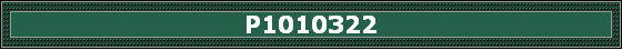 P1010322
