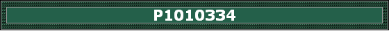 P1010334