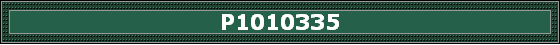 P1010335