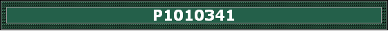 P1010341