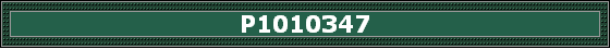 P1010347