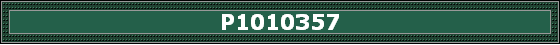 P1010357