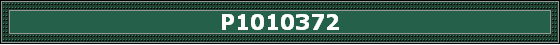 P1010372