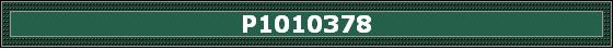 P1010378